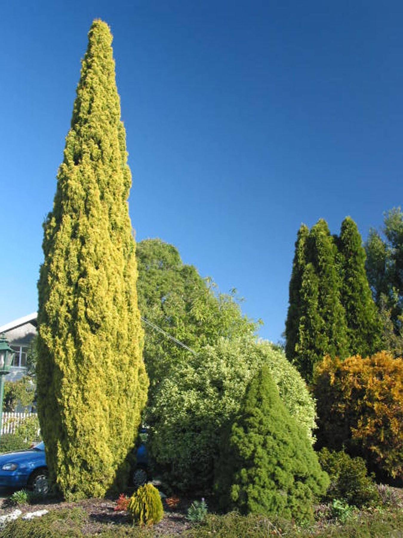 Aalton Motel Christchurch Luaran gambar